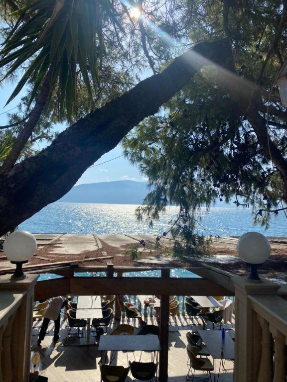 Arlind'S Apartaments Vlorë Eksteriør bilde